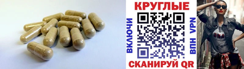 Ecstasy mix Купить закладки Дигора
