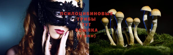 ПСИЛОЦИБИНОВЫЕ ГРИБЫ Киреевск