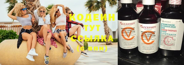 прущие крисы Киренск