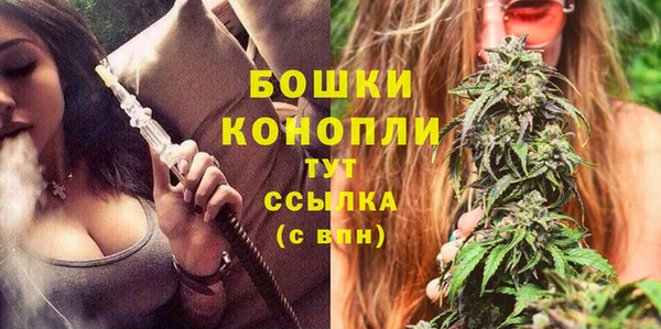 прущие крисы Киренск