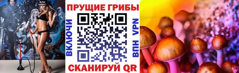 Купить Дигора Галлюциногенные грибы Magic Shrooms